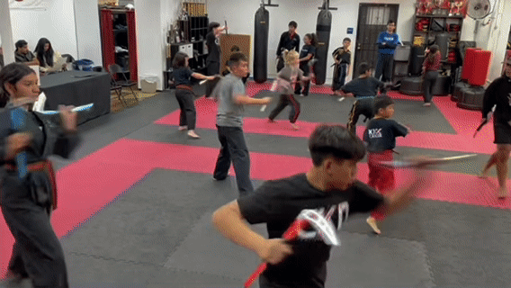 Movement demonstration sequence